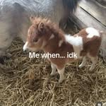 William Audet - @will.audet3 - Instagram