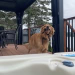 william audet - @will_audet8 - Instagram