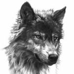William R Audet - @beowulf_620 - Instagram