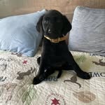 William preston averette - @williamprestonaverette - Instagram