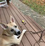 William Babcock - Facebook