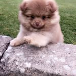 William Bäcklund - @william0123978 - Instagram