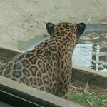 William Gómez Badal - @williamgomezbadal - Instagram