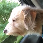 Billy Bader - @william.bader30spam - Instagram