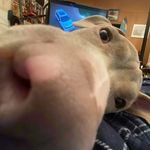 William Bagent - @itz_william_bagent - Instagram
