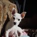 William Page - Facebook