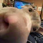 William Bagent - @itz_william_bagent - Instagram