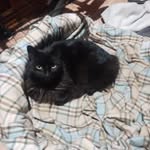 William Howard Gardner Baílon - @williamhgardnerb - Instagram