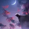 williambailon199 - @williambailon199 - TikTok