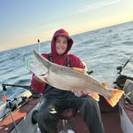 William Ballmann - @william.ballmann - Instagram