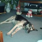 Vickie Balogh-Williams - @vickiebaloghwilliams - Instagram