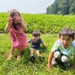 @william_of_baltimore - Instagram
