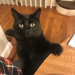 William The Wise - @williamofbaltimore - Instagram