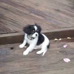 William Bambrick - @william_bambrick - Instagram