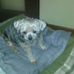 William Barbiero - Facebook