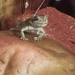 William Bard - @william.bard.1069 - Instagram