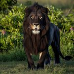 William Bardwell - @wbard22 - Instagram