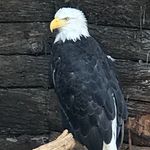 William - @william_w_barham - Instagram