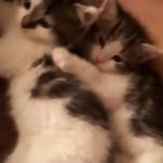 William Baril - @william.baril.92 - Instagram