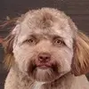 william bark - @william_bark - TikTok