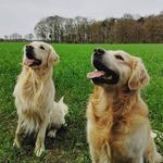Barnaby & William 😘 - @william_barnaby_ - Instagram