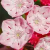 williamabarner74642 - @williamabarner74642 - TikTok