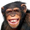 William Barrel - @williambarrel - TikTok