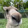 barrass_william - @barrass_william - TikTok