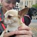 William Barringer - Facebook