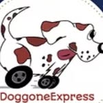 William Barse - @doggoneexpress - Instagram