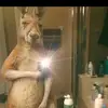 william Barta - @davidbarta1 - TikTok