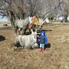 William Barthel - @williambarthel - TikTok