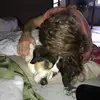williambartholic00 - @williambartholic00 - TikTok