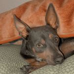 William B  🐾 - @william.bartolome - Instagram