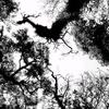 William Basile - @williambasile2796 - TikTok
