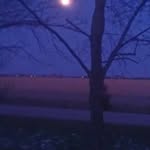 Kathy Williams Bathurst - @kathywilliamsbathurst - Instagram