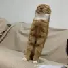 batmanwill - @batmanwilliam - TikTok
