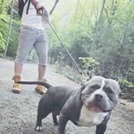 William Batten II - @williambattenii - Instagram
