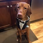 William Batterman - @battermanwilliam - Instagram