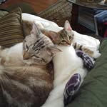 bbayliss - @williambayliss6676 - Instagram