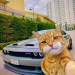 William Bazan - @will_baz - Instagram