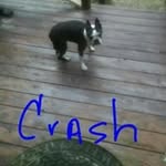 william bazzle - @bazzlew - Instagram
