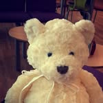 William Bear - @williambear2015 - Instagram