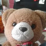 William Bear - @williambear588 - Instagram