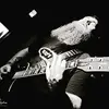 William Bear Kearney - @williambearkearne - TikTok