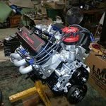 William Bearden - @williambearden - Instagram