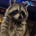 William Beauchemin - Facebook