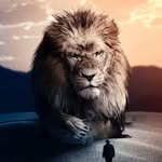 William Becerra - @williambecerra2301 - Instagram