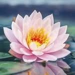 William Beckmann - @william._.beckmann1 - Instagram