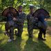 William Bedenbaugh - Facebook
